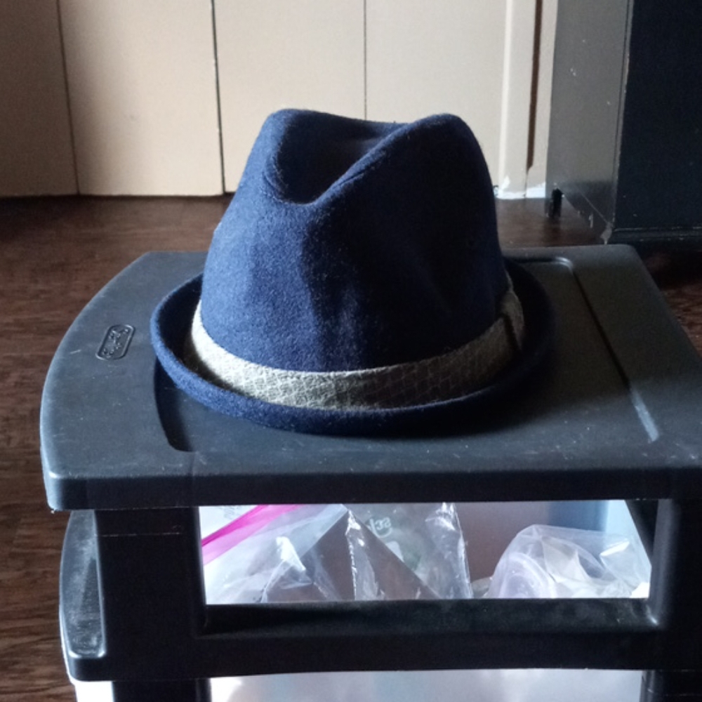 Mens Fedora